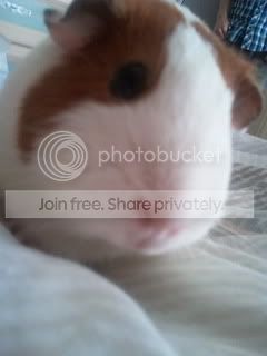 2011-05-15102243.jpg