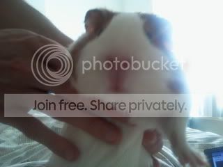 2011-05-15102307.jpg