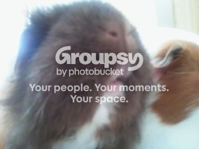2011-08-09163225.jpg