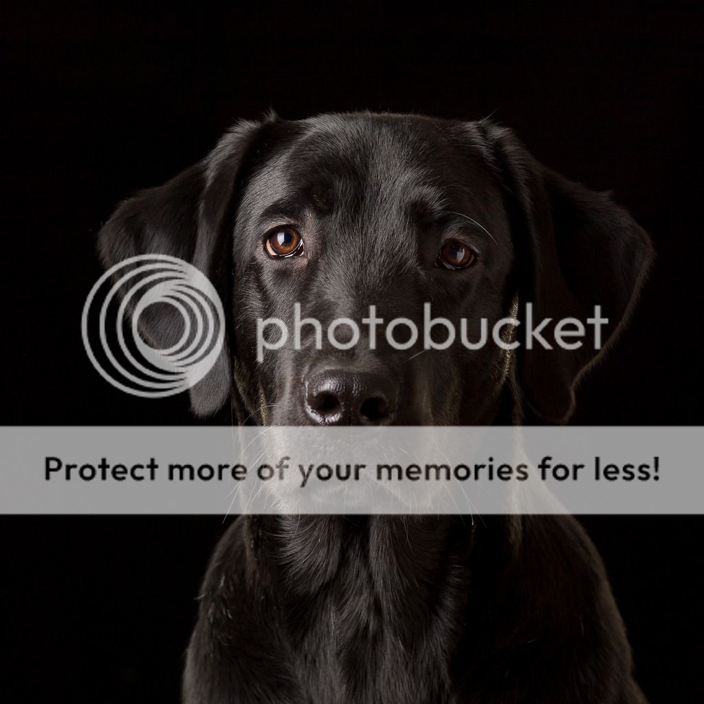 Photobucket - Video and Image Hosting