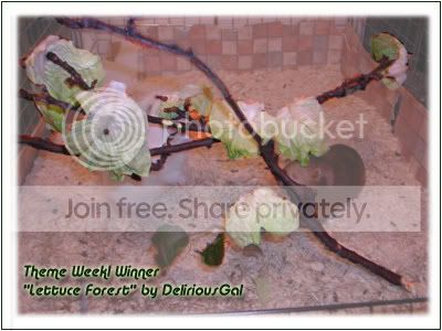 Lettuce Forest by DeliriousGal