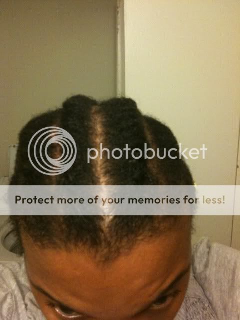 Flat Twist Out On Transitioning Hair Pics Plus Baby Bump Lol