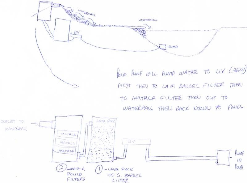 Need Help With Pond Setup | Garden Pond Forums