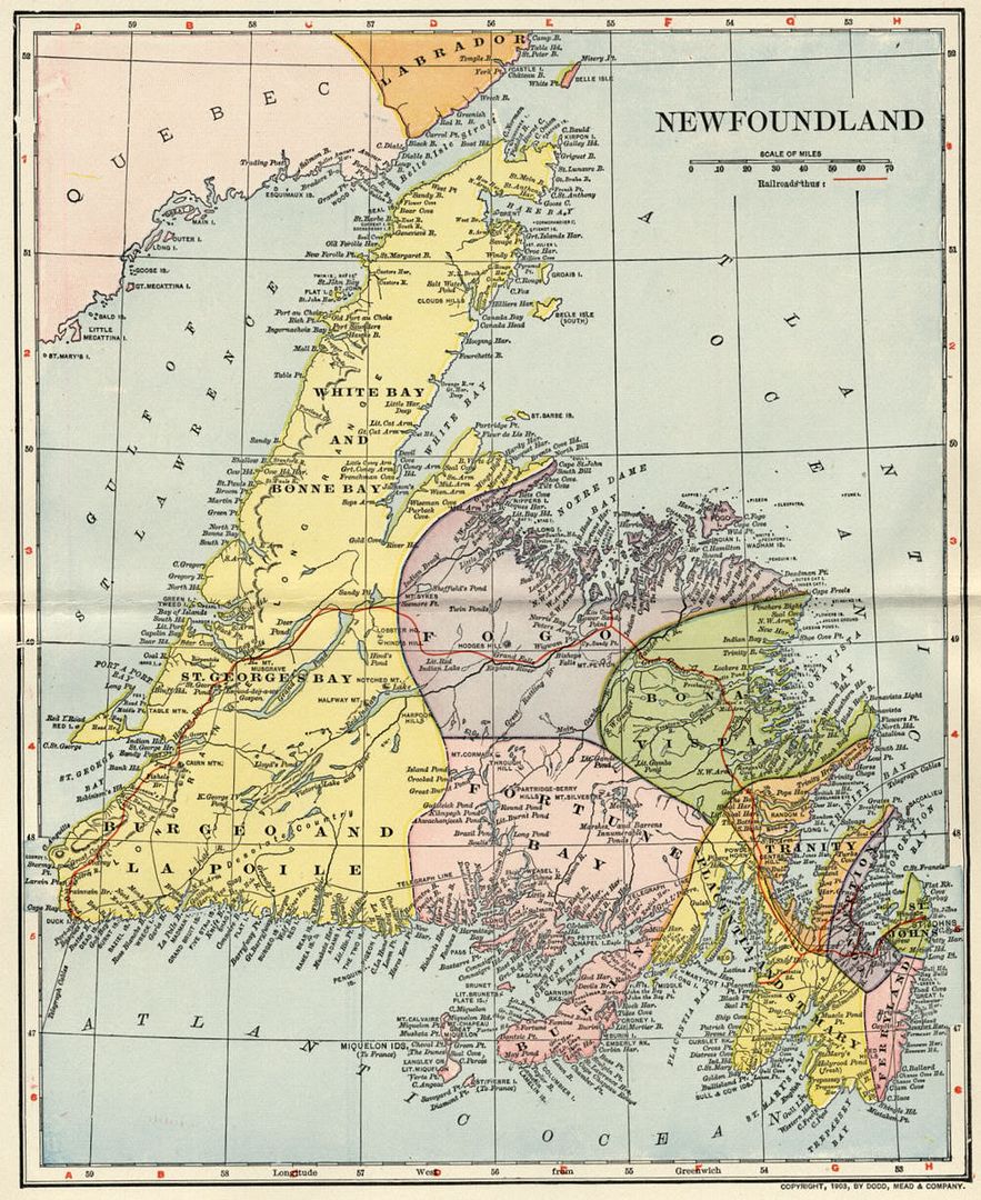 NEWFOUNDLAND Canada Map: Authentic 1903 (Dated) Towns, Cities, Ports ...