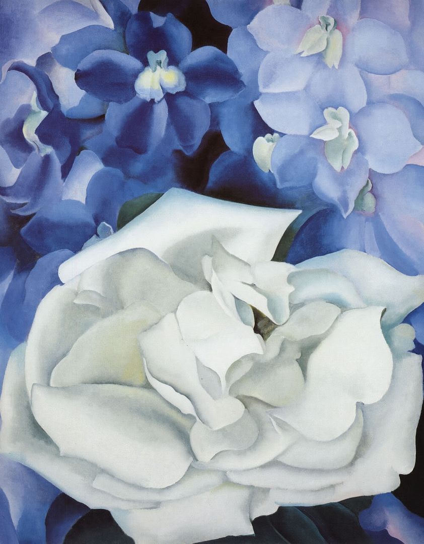 White Rose with Larkspur; Art Print by Georgia O'Keeffe | eBay