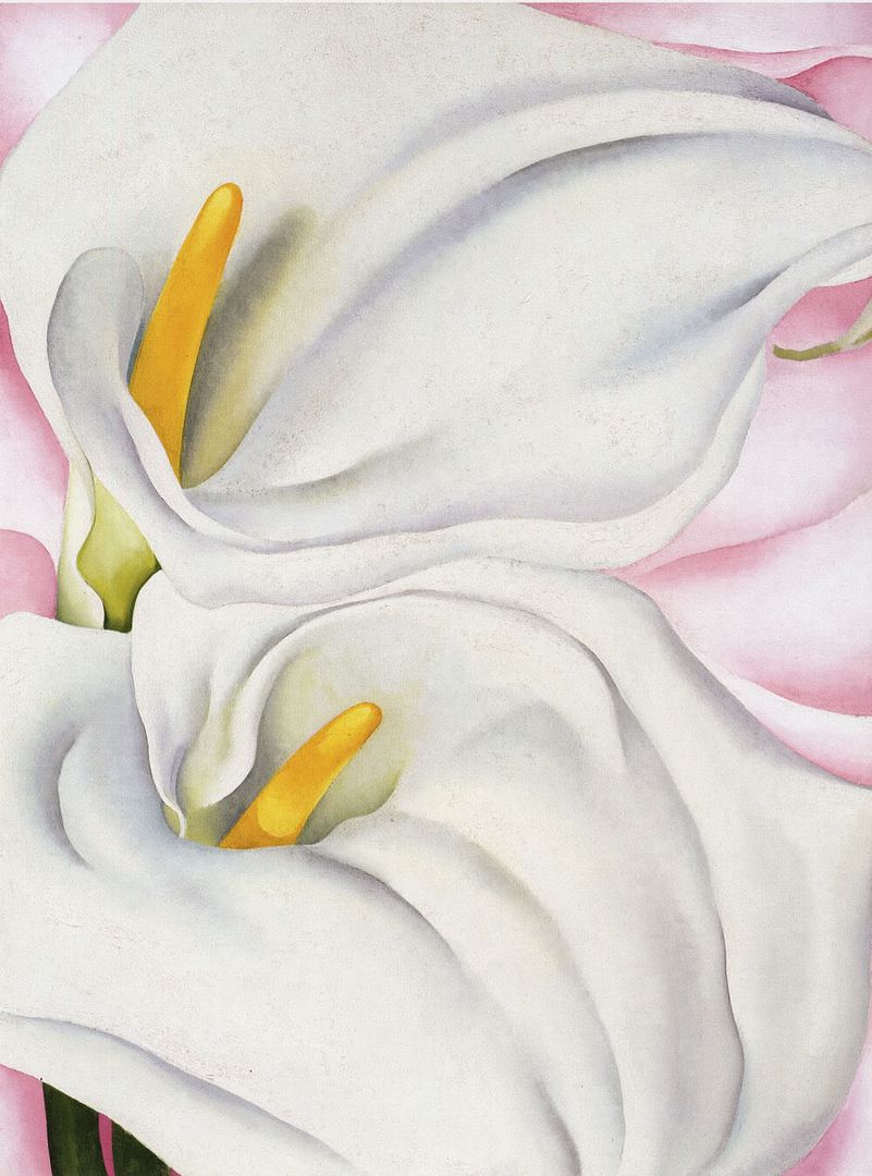 Two Calla Lilies on Pink; Art Print by Georgia O'Keeffe | eBay